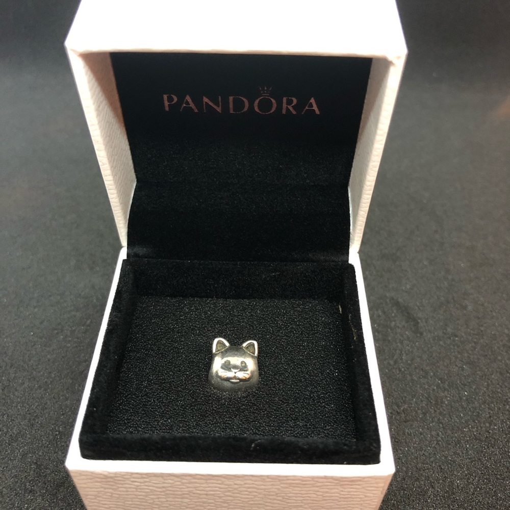 Pandora Curious Cat Silver Charm #791706